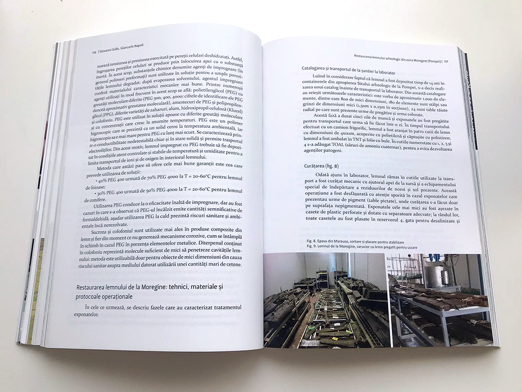 Caietele restaurării 2018