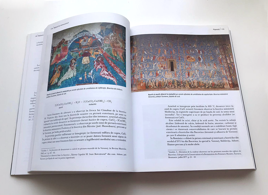 Notiuni de chimia picturii