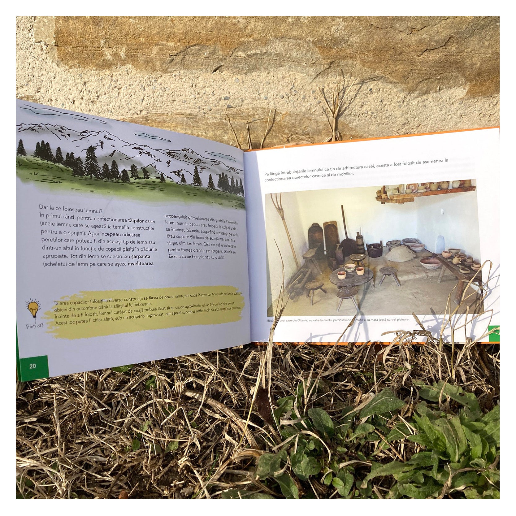 In casa bunilor - Laura Hangiu, Ana Bârcă