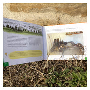 In casa bunilor - Laura Hangiu, Ana Bârcă