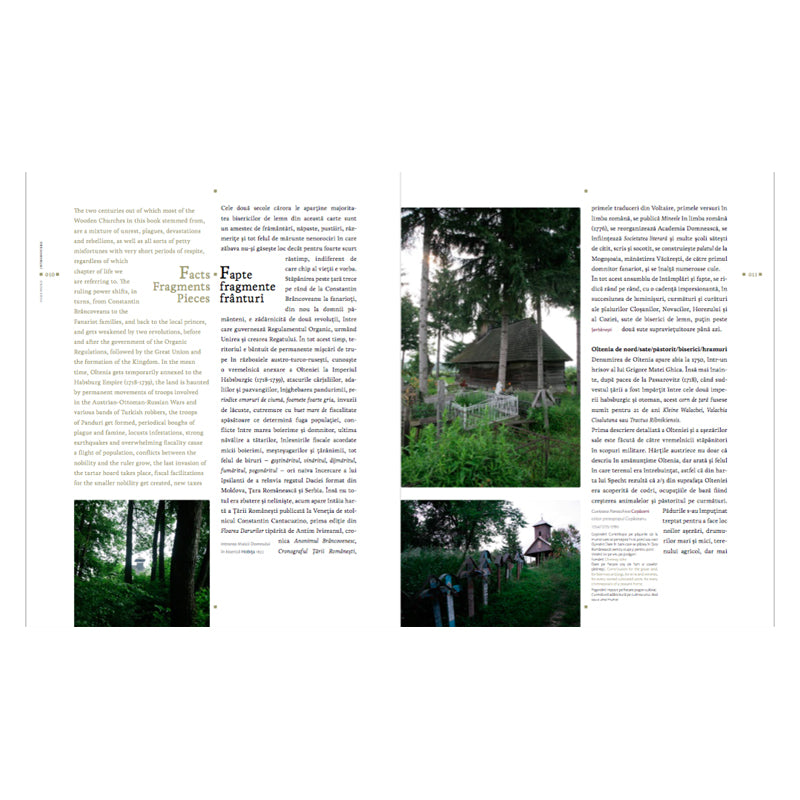 Lemn, Luiza Zamora, Asociatia 37