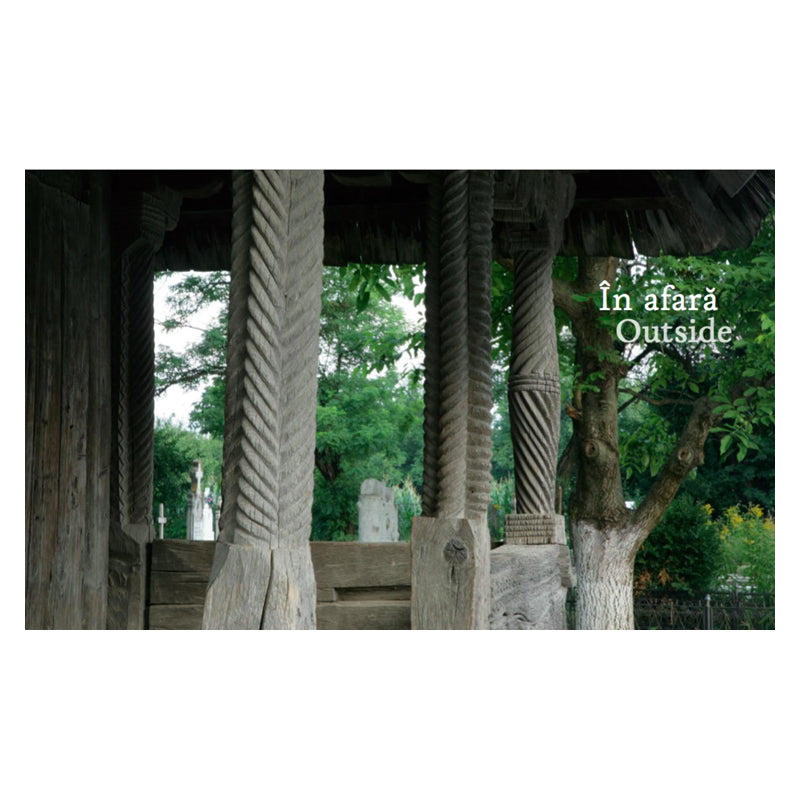 Lemn, Luiza Zamora, Asociatia 37