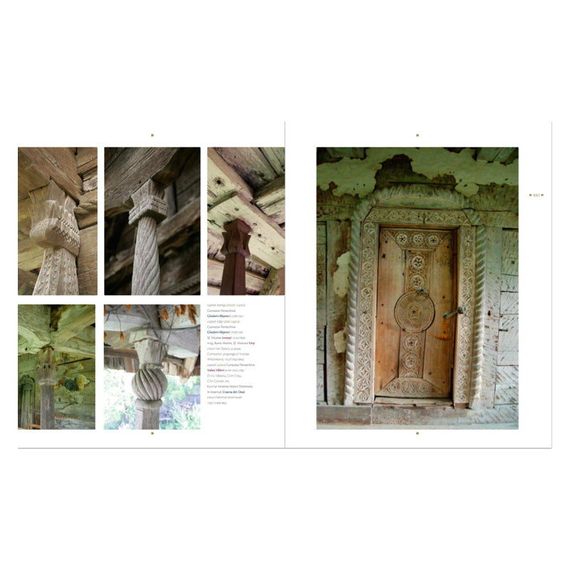 Lemn, Luiza Zamora, Asociatia 37