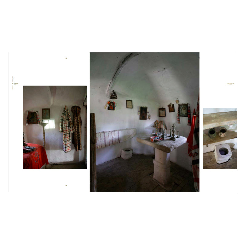 Lemn, Luiza Zamora, Asociatia 37