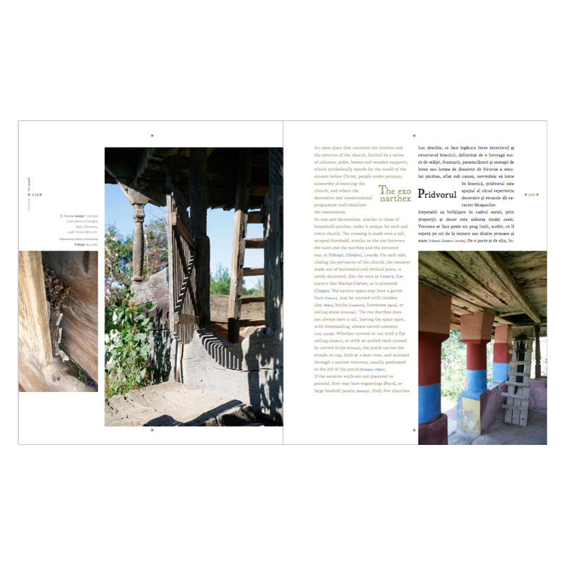 Lemn, Luiza Zamora, Asociatia 37