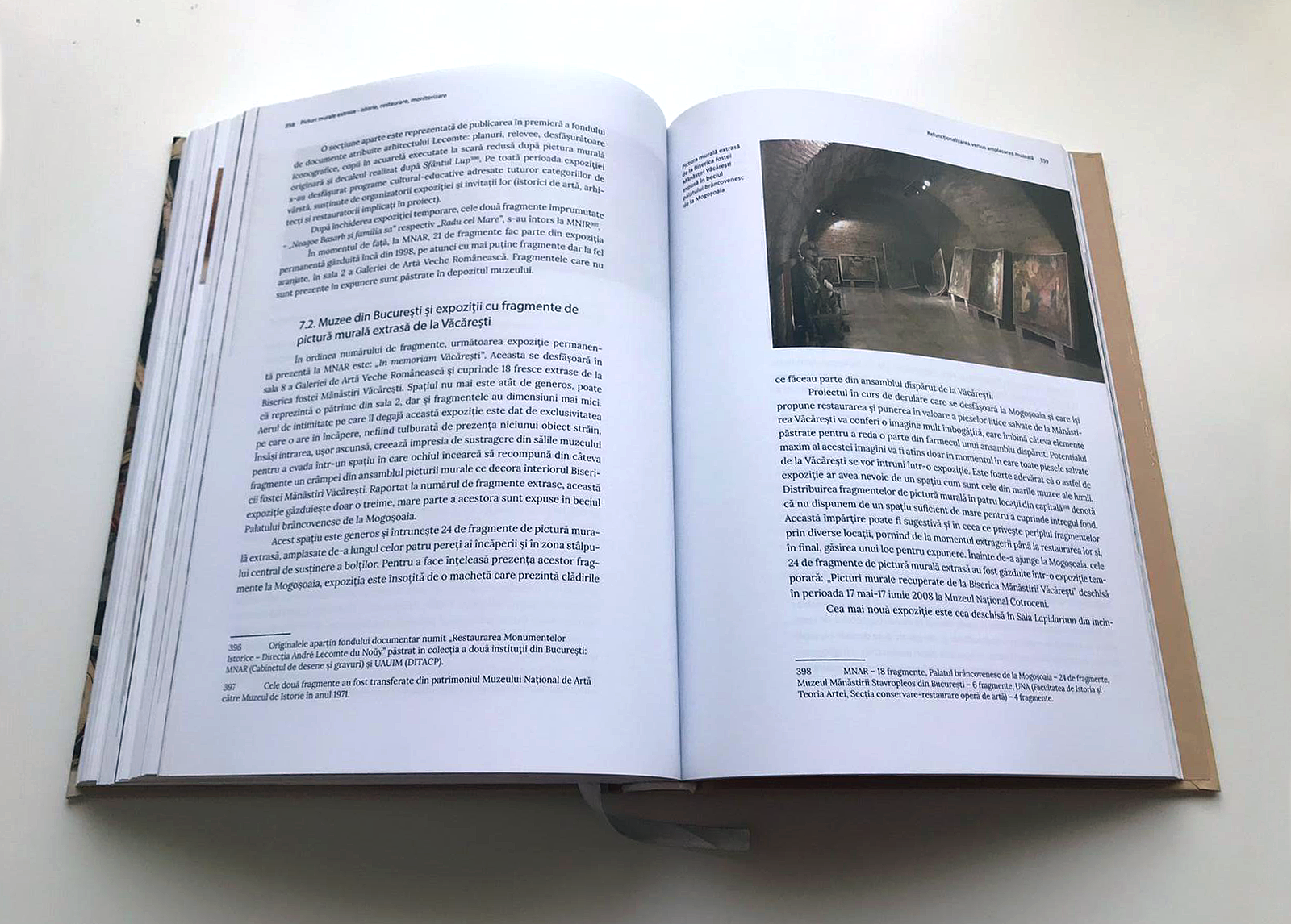 Picturi murale extrase