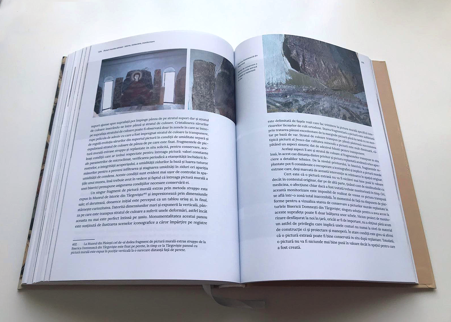 Picturi murale extrase