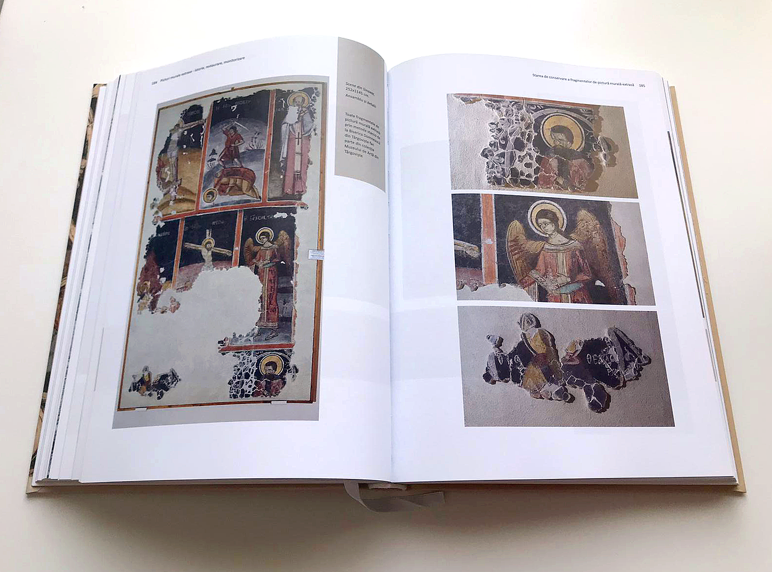 Picturi murale extrase