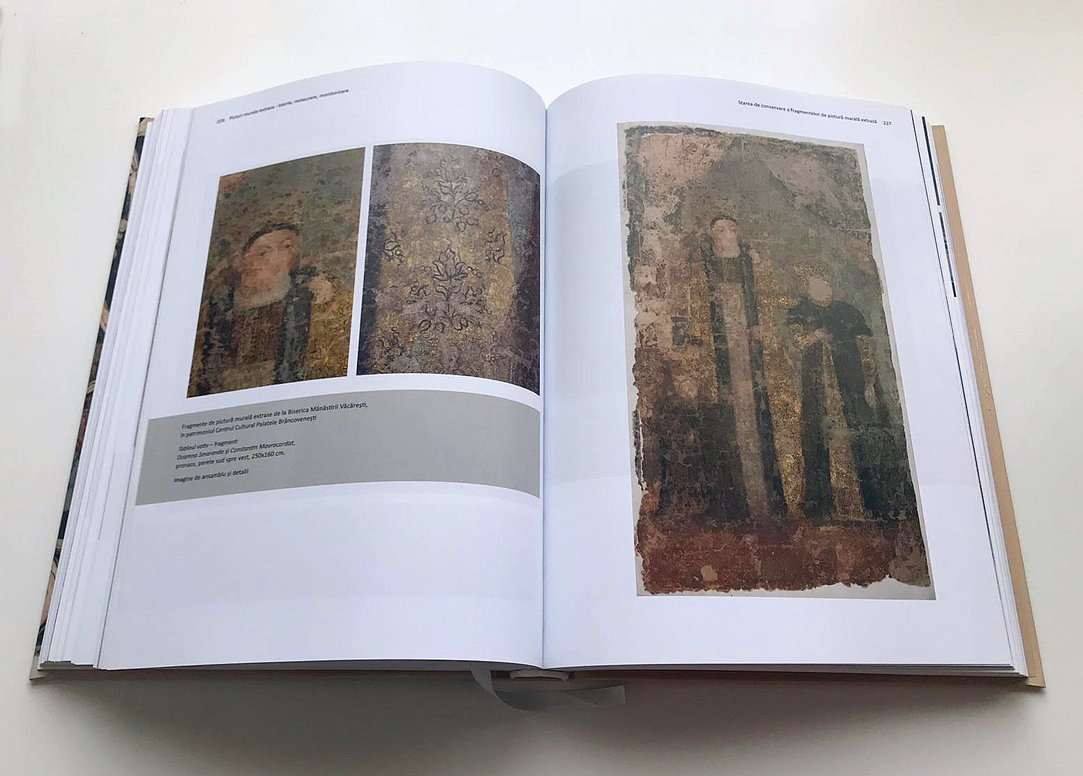 Picturi murale extrase