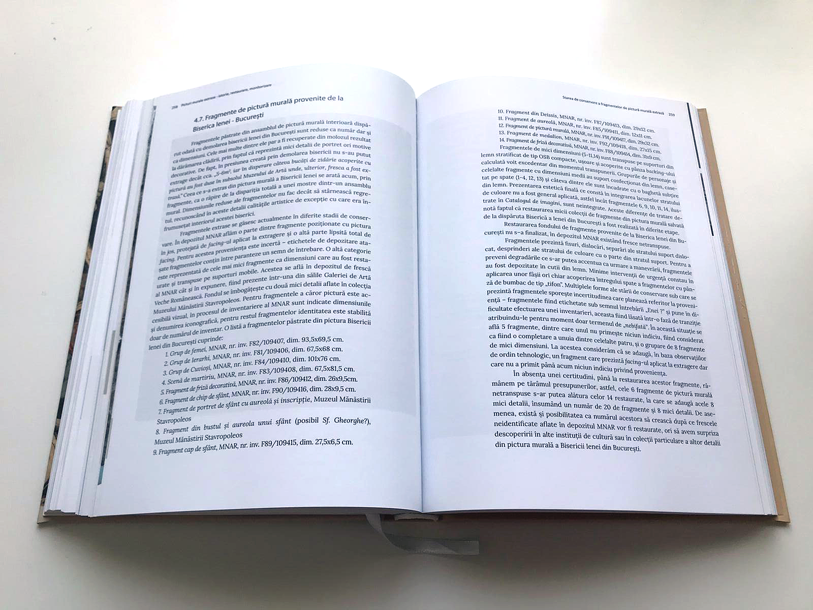 Picturi murale extrase