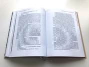 Picturi murale extrase