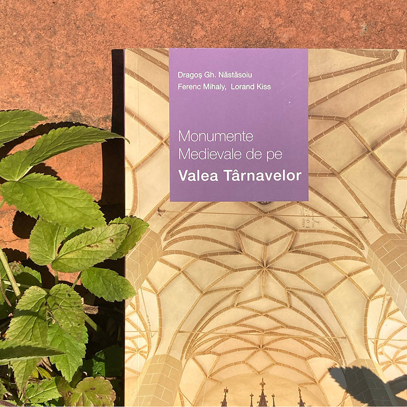 Monumente Medievale de pe Valea Târnavelor