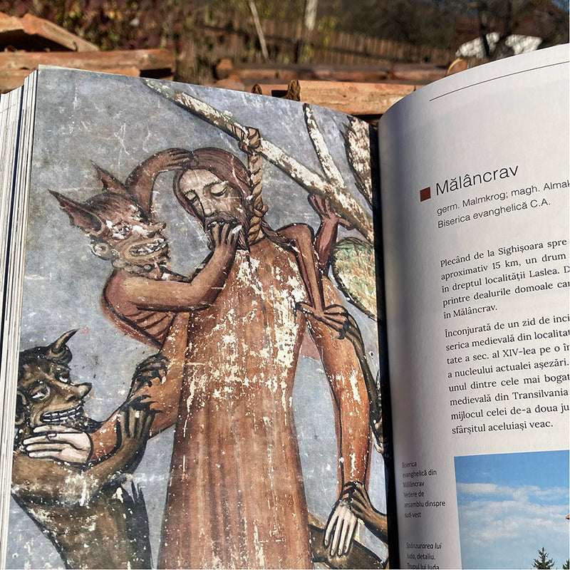 Monumente Medievale de pe Valea Târnavelor