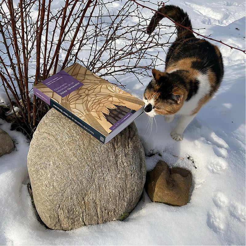 Monumente Medievale de pe Valea Târnavelor