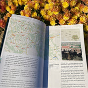 Monumente Medievale de pe Valea Târnavelor