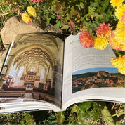 Monumente Medievale de pe Valea Târnavelor