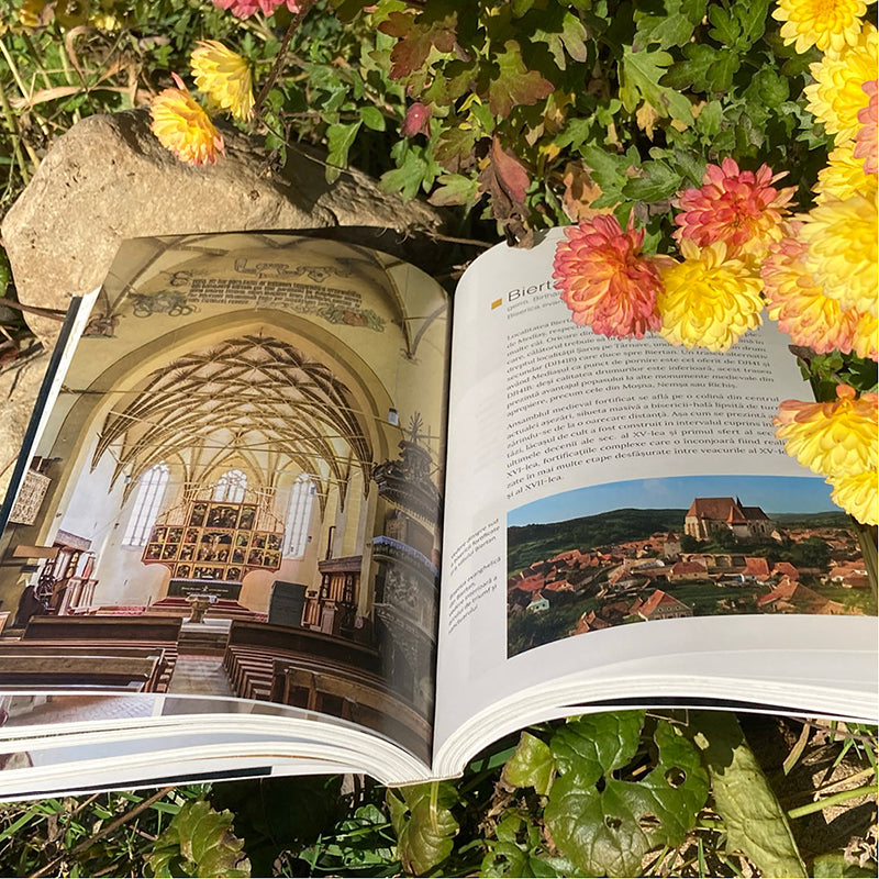 Monumente Medievale de pe Valea Târnavelor