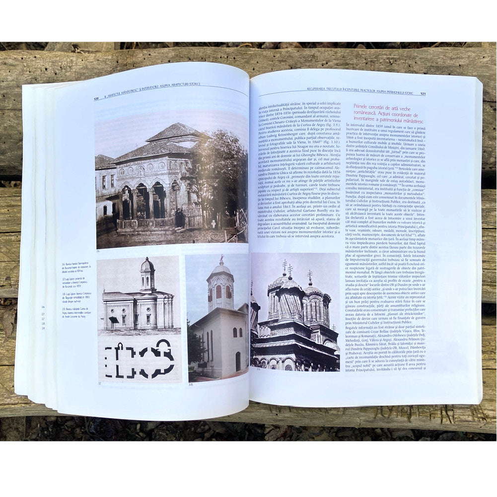 Johann Schlatter: Cultura occidentala si arhitectura romaneasca (1831-1866)