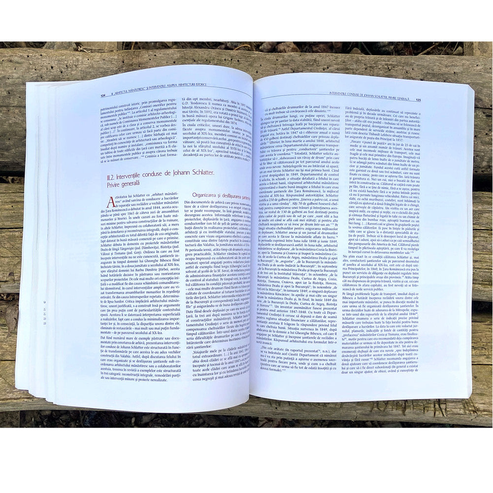 Johann Schlatter: Cultura occidentala si arhitectura romaneasca (1831-1866)