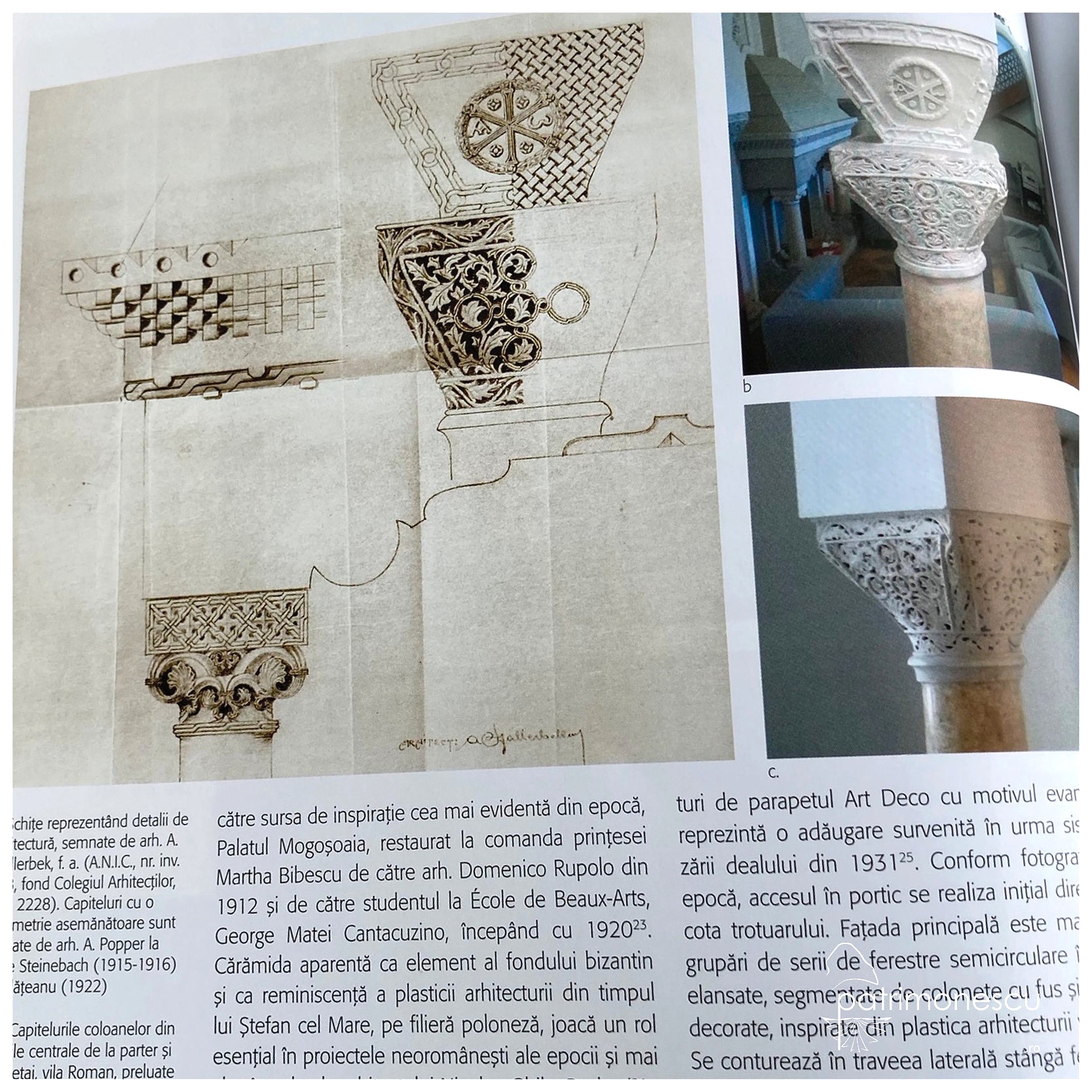 Alfred Popper: Monica Croitoru-Tonciu