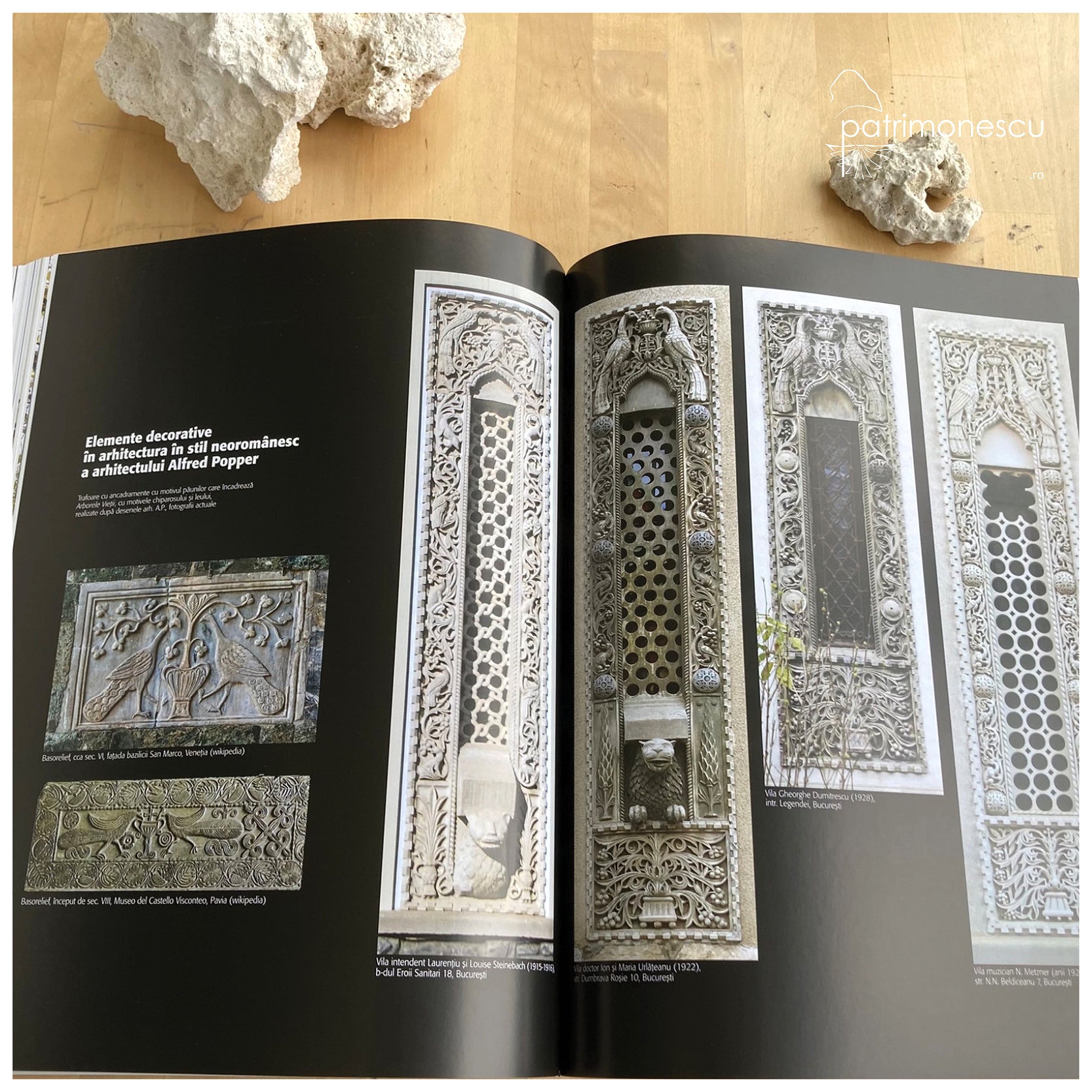 Alfred Popper: Monica Croitoru-Tonciu