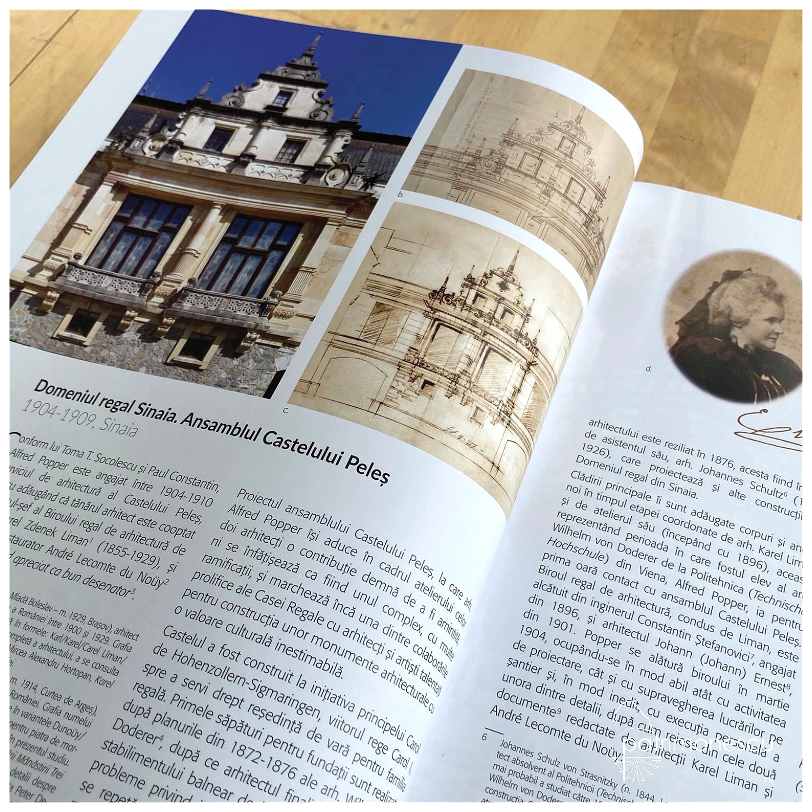 Alfred Popper: Monica Croitoru-Tonciu